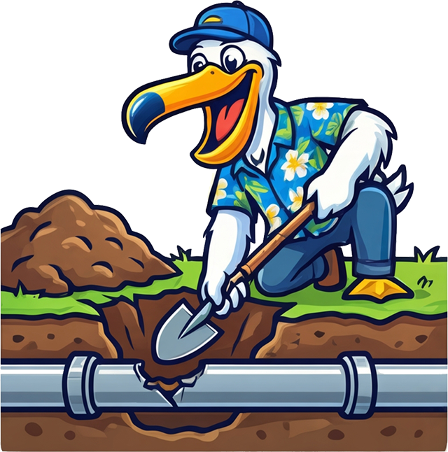 Swisher Plumbing pelican mascot illustration for sewer line service